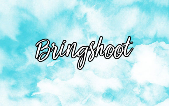 Bringshoot: Adding Artistic Flair to Modern Typography